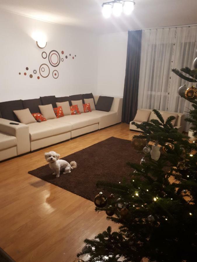 Casa Mais Brasov Luaran gambar