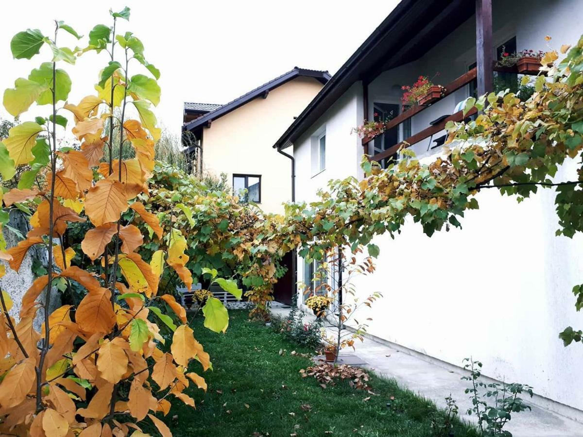 Casa Mais Brasov Luaran gambar