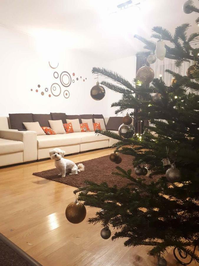 Casa Mais Brasov Luaran gambar