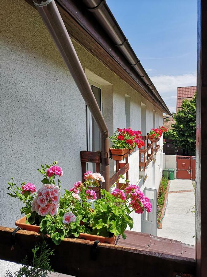 Casa Mais Brasov Luaran gambar